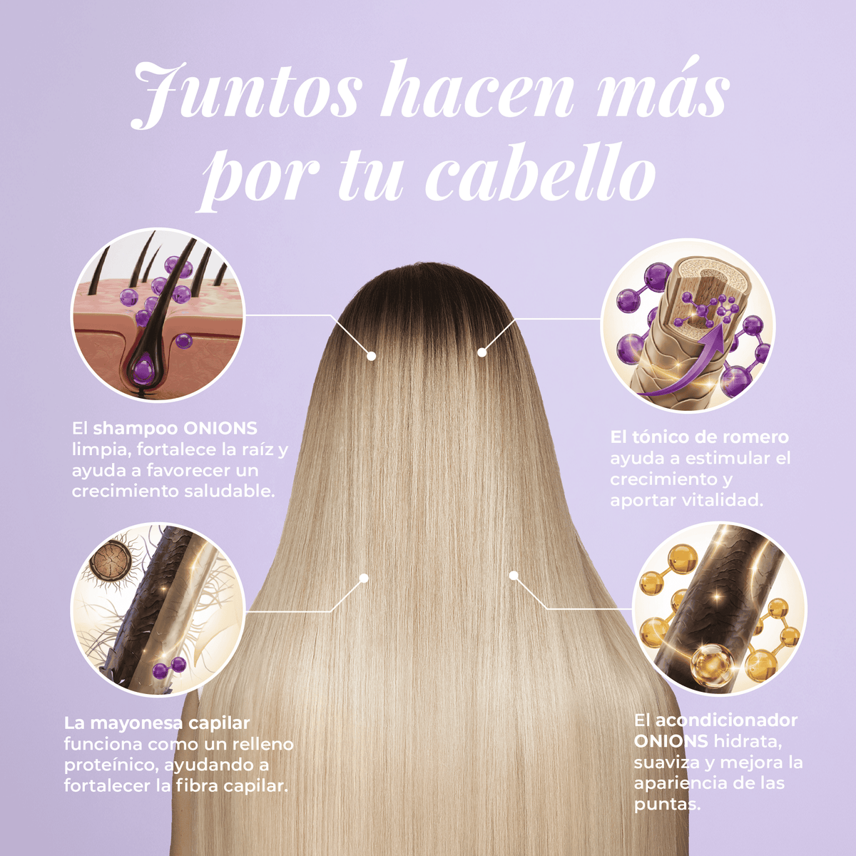 Shampoo, Acondicionador, Mayonesa y Tónico