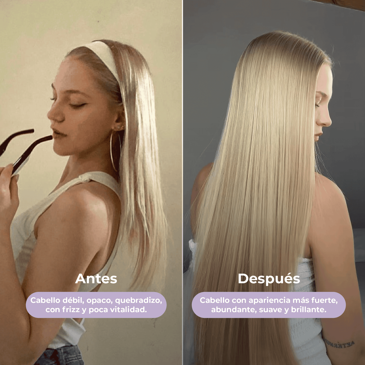 Shampoo, Acondicionador, Mayonesa y Tónico