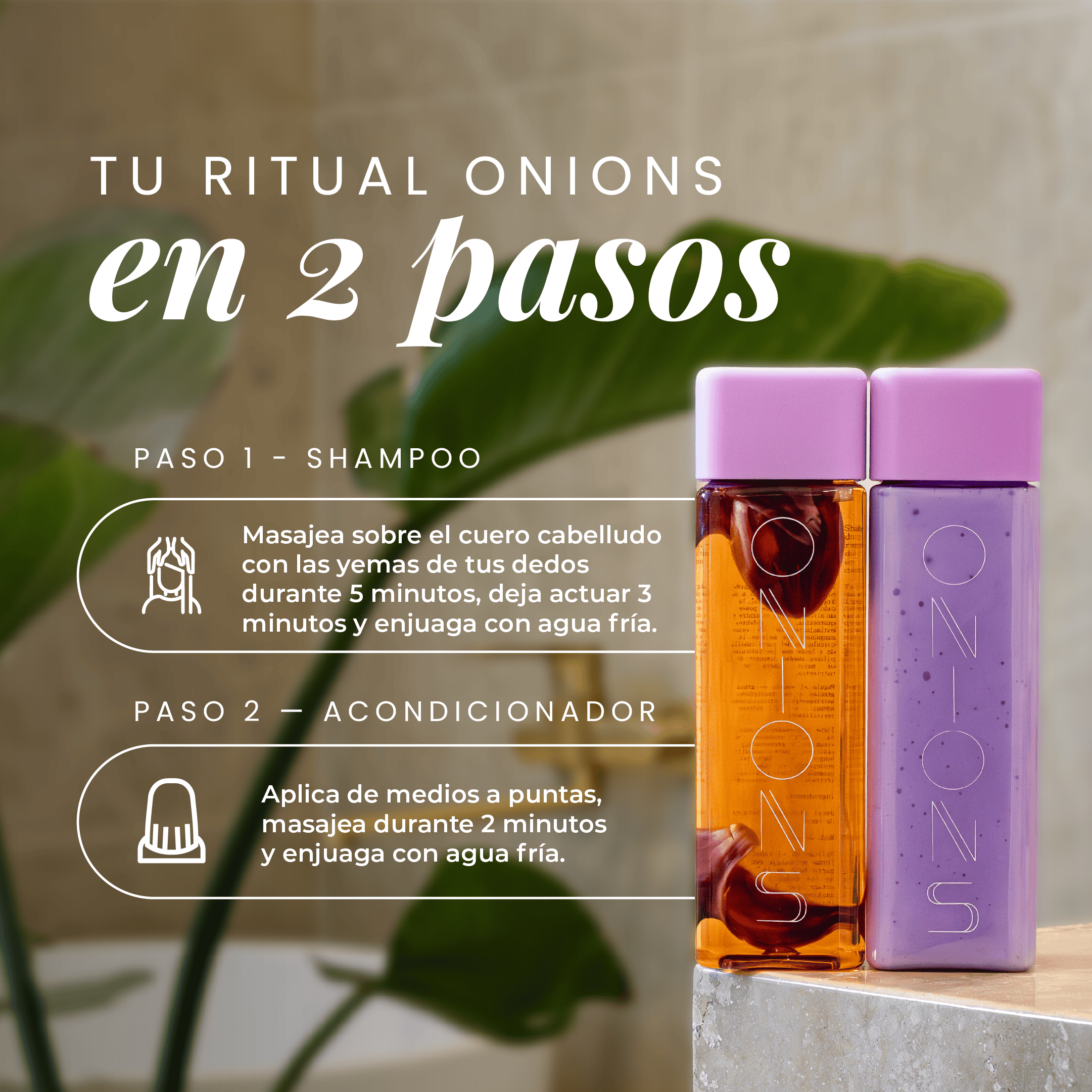 Shampoo y Acondicionador