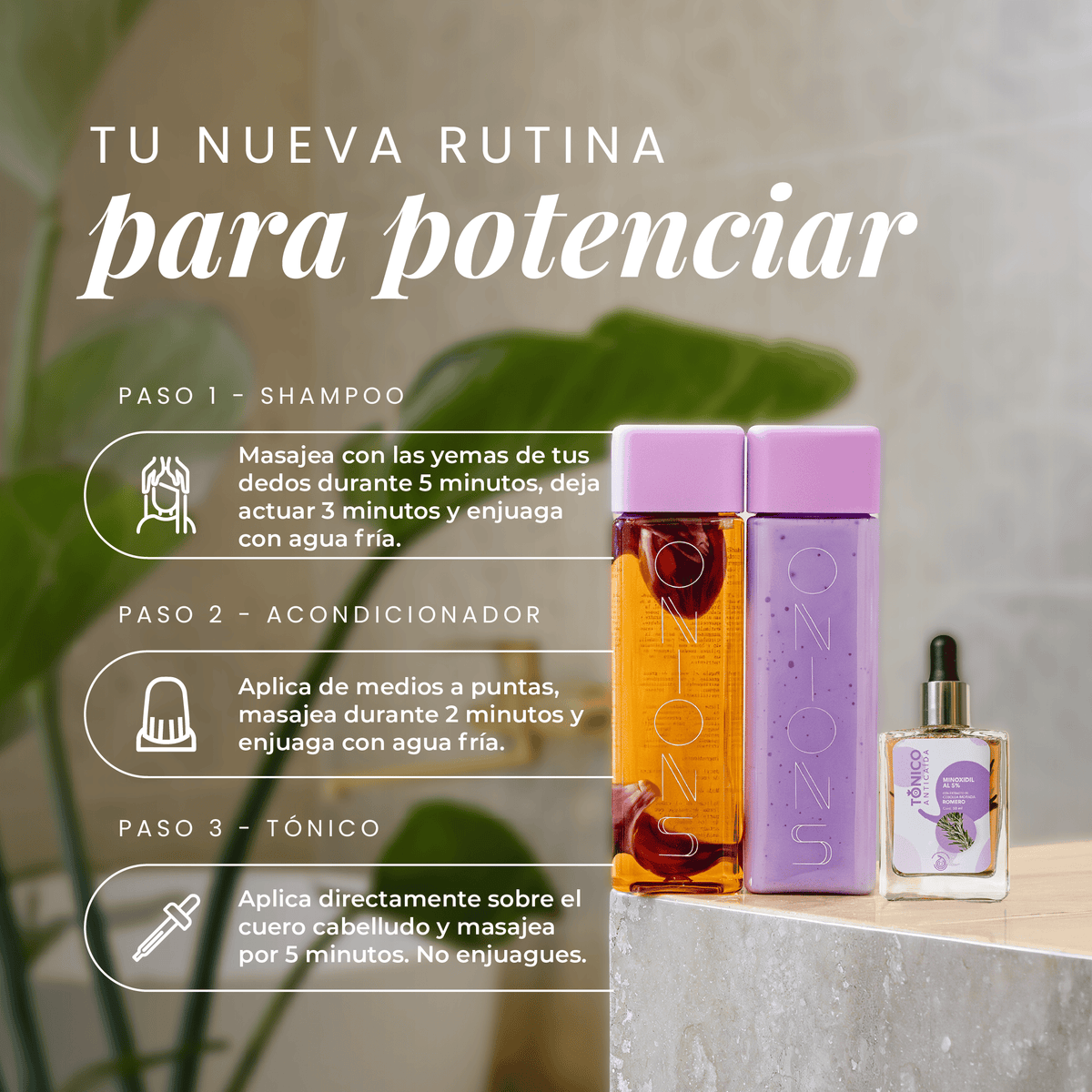 Shampoo, Acondicionador y tónico