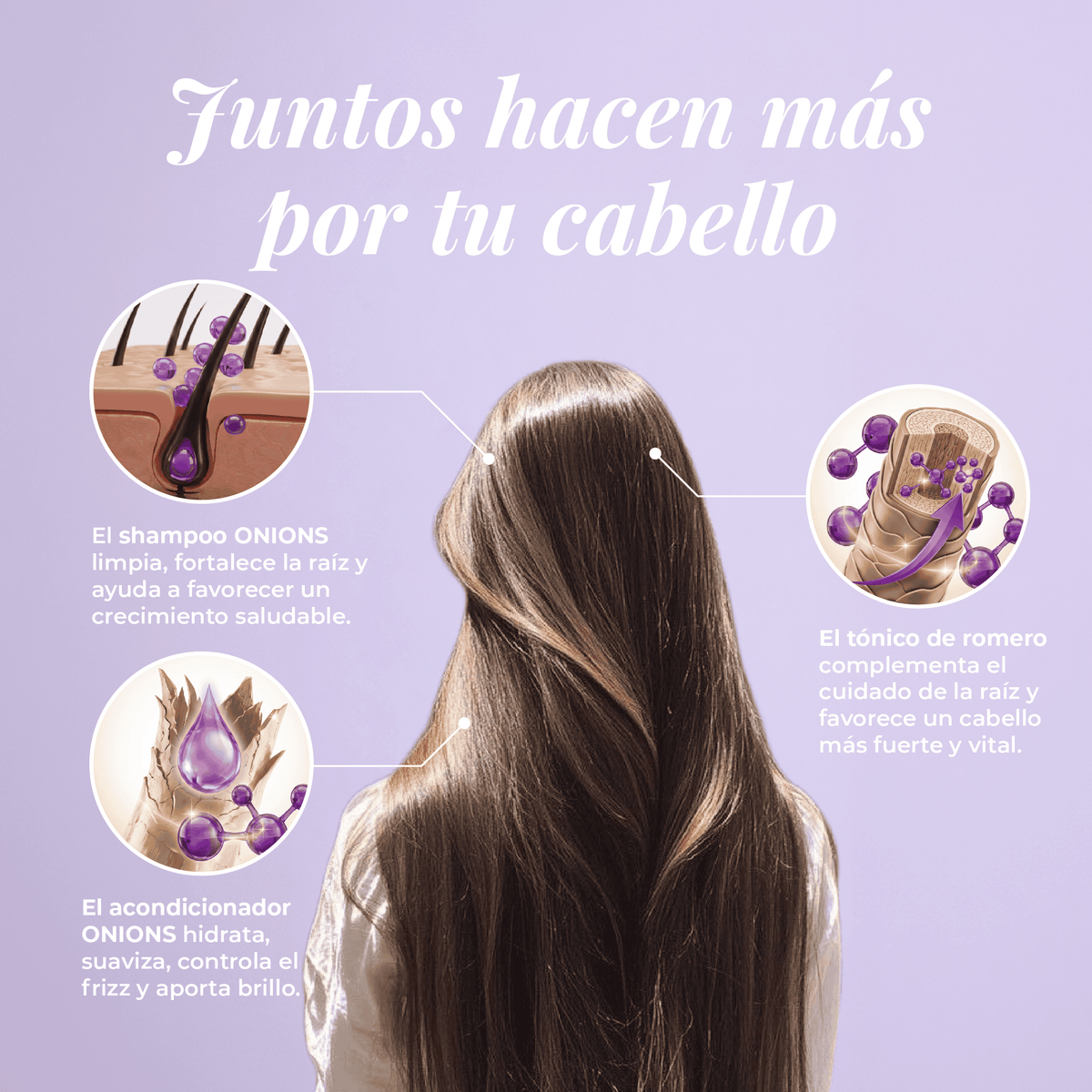Shampoo, Acondicionador y tónico
