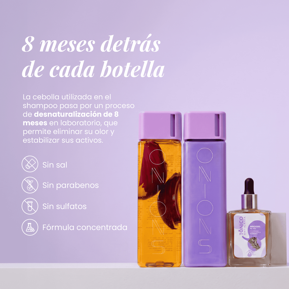 Shampoo, Acondicionador y tónico
