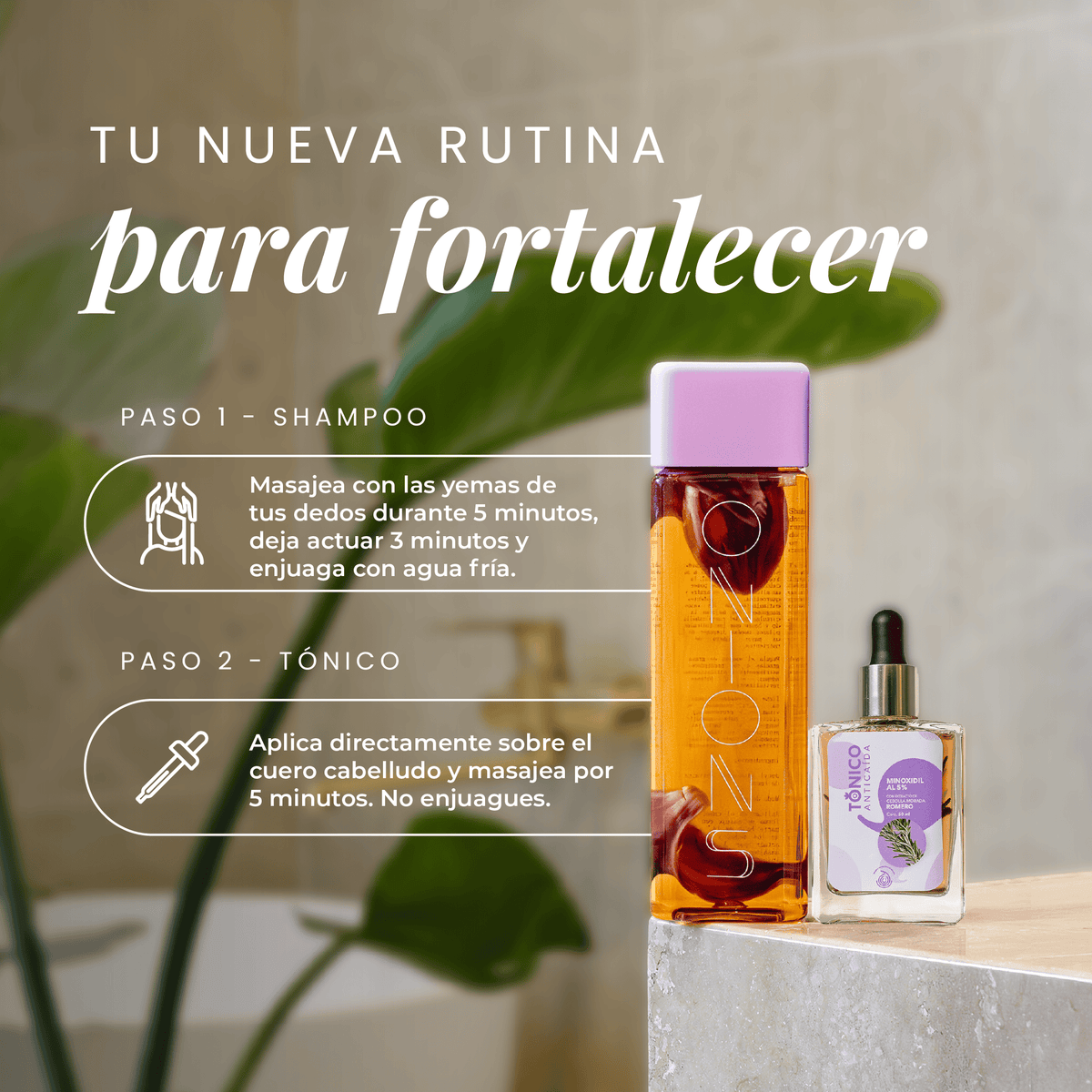 Shampoo y tónico de romero