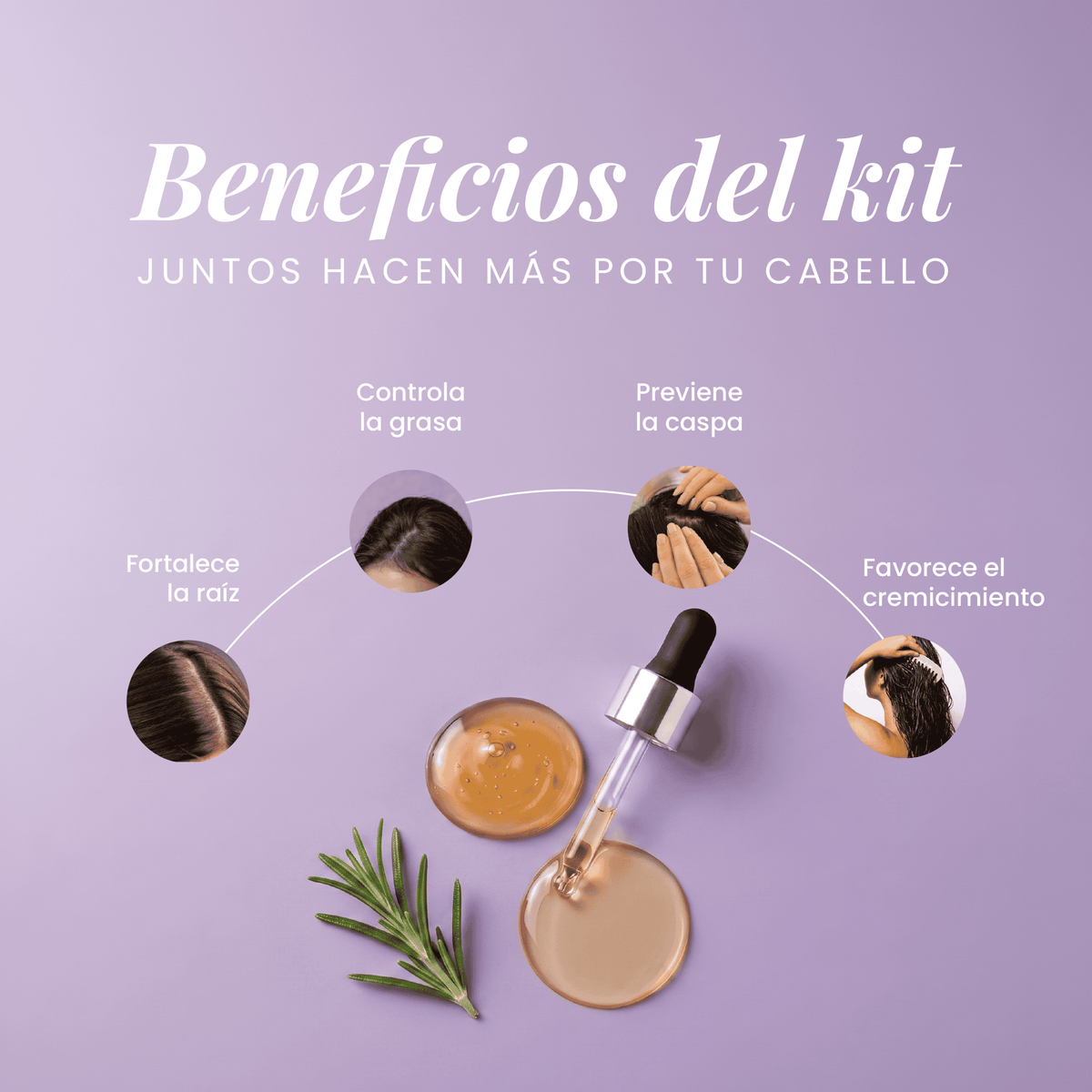 Shampoo y tónico de romero
