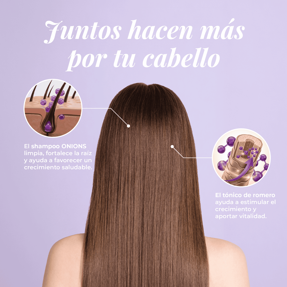 Shampoo y tónico de romero