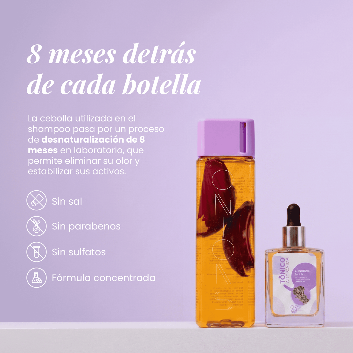 Shampoo y tónico de romero